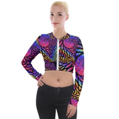 3d Fractal Mandelbulb Long Sleeve Cropped Velvet Jacket