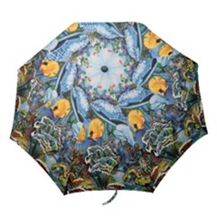 Colorful Aquatic Life Wall Mural Folding Umbrellas by Proyonanggan