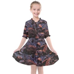 Twilight Treasures: Rocky Beachscape  Kids  All Frills Chiffon Dress by dflcprintsclothing