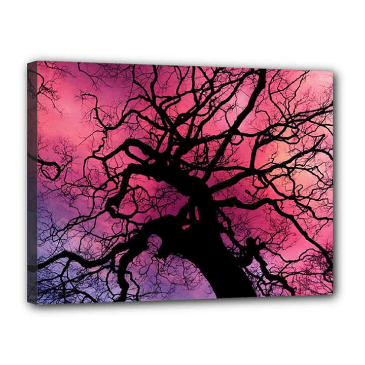 Trees Silhouette Sky Clouds Sunset Canvas 16  x 12  (Stretched)