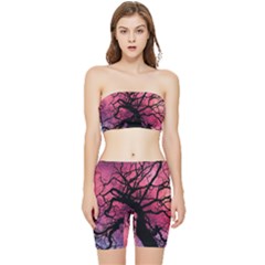 Trees Silhouette Sky Clouds Sunset Stretch Shorts And Tube Top Set by Bangk1t