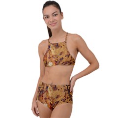 Bees Nature Animals Honeycomb Halter Tankini Set by pakminggu