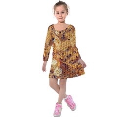 Bees Nature Animals Honeycomb Kids  Long Sleeve Velvet Dress