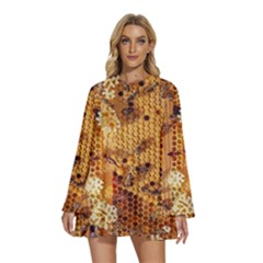 Bees Nature Animals Honeycomb Round Neck Long Sleeve Bohemian Style Chiffon Mini Dress by pakminggu