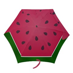 Watermelon Fruit Summer Red Fresh Food Healthy Mini Folding Umbrellas by pakminggu