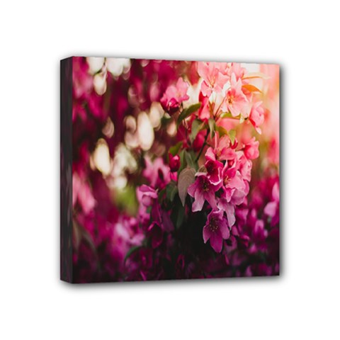 Pink Flower Mini Canvas 4  X 4  (stretched) by artworkshop