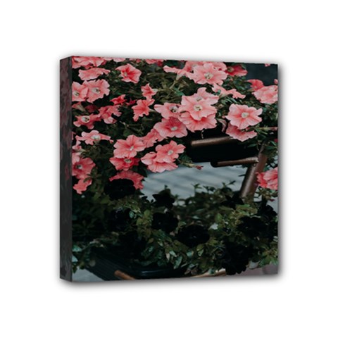 Pink Peony  Flower Mini Canvas 4  X 4  (stretched) by artworkshop