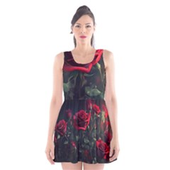 Rose Flower Plant Red Scoop Neck Skater Dress by Ravend