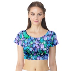 Pastel Short Sleeve Crop Top by zappwaits