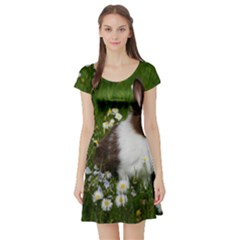 Rabbit Short Sleeve Skater Dress by artworkshop