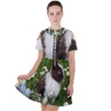 Rabbit Short Sleeve Shoulder Cut Out Dress  View1