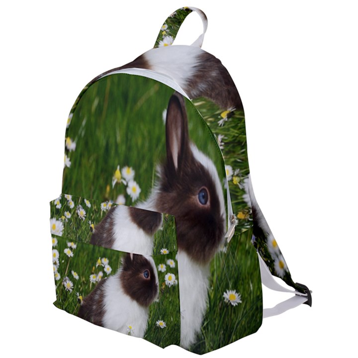 Rabbit The Plain Backpack