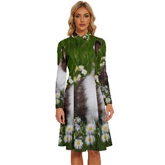 Rabbit Long Sleeve Shirt Collar A-line Dress by artworkshop