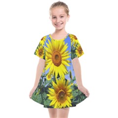 Sunflower Gift Kids  Smock Dress by artworkshop