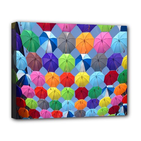 Umbrella Deluxe Canvas 20  X 16  (stretched) by artworkshop