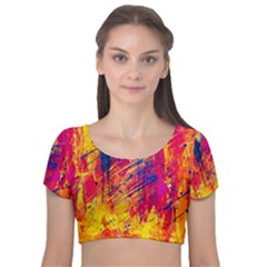 Various Colors Velvet Short Sleeve Crop Top  by artworkshop