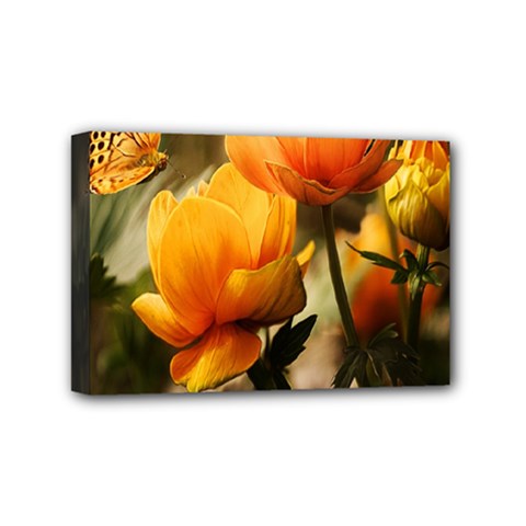 Yellow Butterfly Flower Mini Canvas 6  X 4  (stretched) by artworkshop