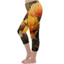 Yellow Butterfly Flower Capri Winter Leggings  View2