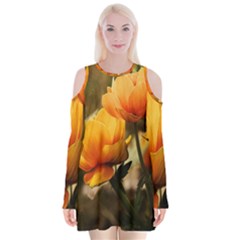 Yellow Butterfly Flower Velvet Long Sleeve Shoulder Cutout Dress by artworkshop