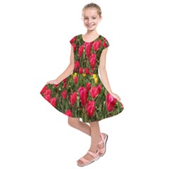 Yellow Pink Red Flowers Kids  Short Sleeve Dress by artworkshop