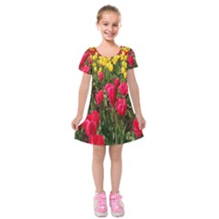 Yellow Pink Red Flowers Kids  Short Sleeve Velvet Dress by artworkshop