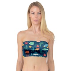 Variety Of Fish Illustration Turtle Jellyfish Art Texture Bandeau Top by Grandong