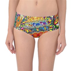 Supersonic Sunblast Mid-waist Bikini Bottoms