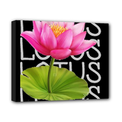 Lotus2 Canvas 10  X 8  (stretched)