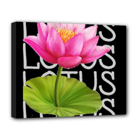 Lotus2 Deluxe Canvas 20  X 16  (stretched) by RuuGallery10