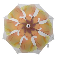 Lady Hook Handle Umbrellas (medium)