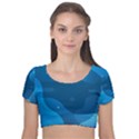 Abstract-classic-blue-background Velvet Short Sleeve Crop Top  View1