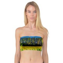 Different Grain Growth Field Bandeau Top by Ravend