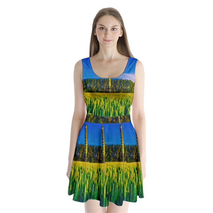 Different Grain Growth Field Split Back Mini Dress 