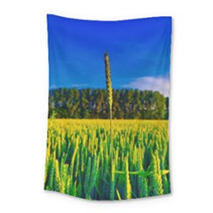 Different Grain Growth Field Small Tapestry by Ravend