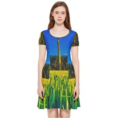 Different Grain Growth Field Inside Out Cap Sleeve Dress by Ravend