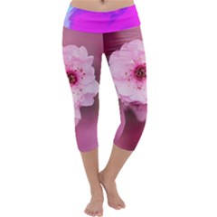 Pexels-photo-548381 2023 02 08 18 04 00 Png 2023 02 08 18 06 40 Png  Pinkie 20230208-171452 Capri Yoga Leggings