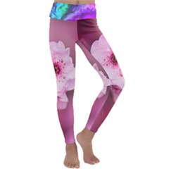 Pexels-photo-548381 2023 02 08 18 04 00 Png 2023 02 08 18 06 40 Png  Pinkie 20230208-171452 Kids  Lightweight Velour Classic Yoga Leggings