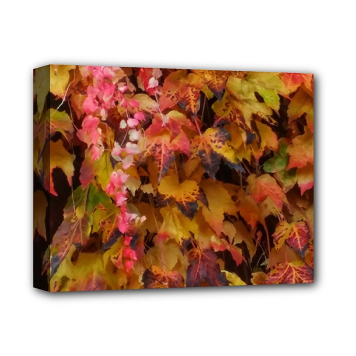 Red and Yellow Ivy  Deluxe Canvas 14  x 11  (Stretched)