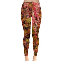 Red And Yellow Ivy  Everyday Leggings  by okhismakingart