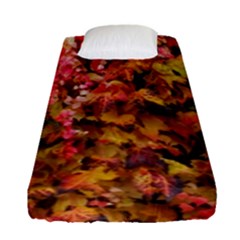 Red And Yellow Ivy  Fitted Sheet (single Size) by okhismakingart