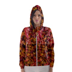 Red And Yellow Ivy  Women s Hooded Windbreaker by okhismakingart