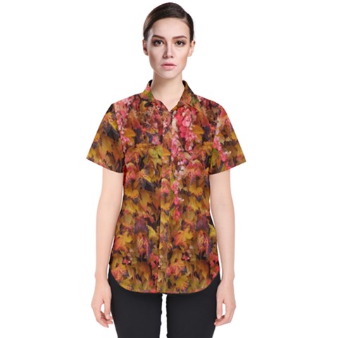 Red And Yellow Ivy  Women s Short Sleeve Shirt by okhismakingart