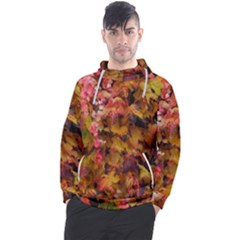 Red And Yellow Ivy  Men s Pullover Hoodie by okhismakingart