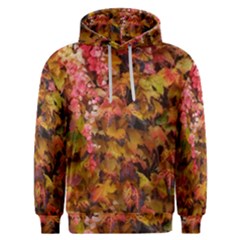 Red And Yellow Ivy  Men s Overhead Hoodie by okhismakingart