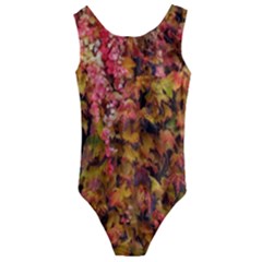 Red And Yellow Ivy  Kids  Cut-out Back One Piece Swimsuit by okhismakingart