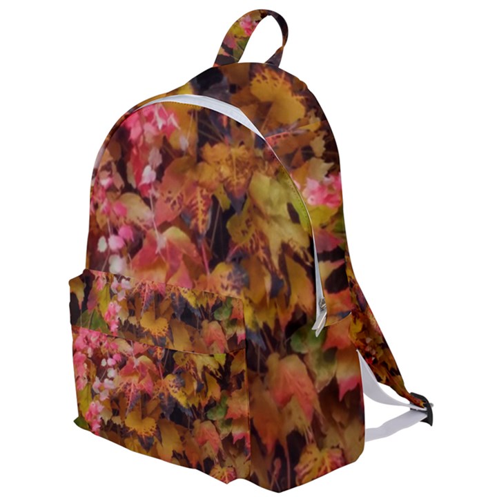 Red and Yellow Ivy  The Plain Backpack