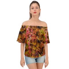 Red And Yellow Ivy  Off Shoulder Short Sleeve Top by okhismakingart