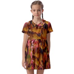 Red And Yellow Ivy  Kids  Asymmetric Collar Dress by okhismakingart