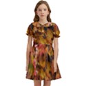 Red and Yellow Ivy  Kids  Bow Tie Puff Sleeve Dress View1