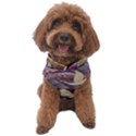 Textile-fabric-cloth-pattern Dog Sweater View1